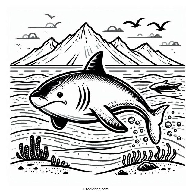 Shark Coloring Page Chasing Seal In The Ocean