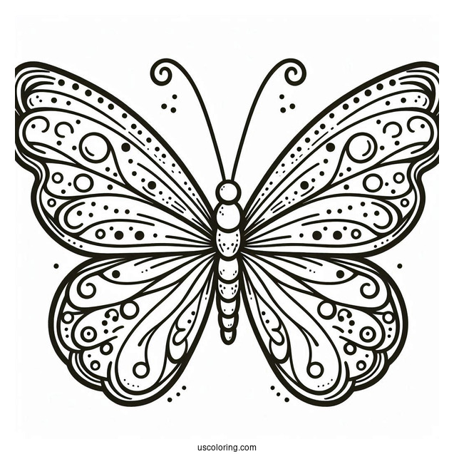 Easy Outline Of Butterfly With Spots On Wings