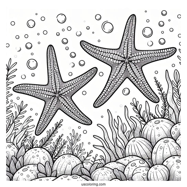 Two Starfish Coloring Page Crawling Along Coral Reef