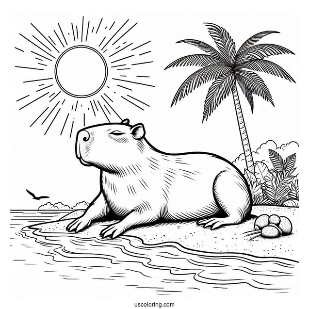 Capybara Coloring Page Sunbathing At Beach