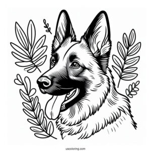 Outline Of Beglian Malinois Dog