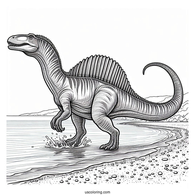 Spinosaurus Coloring Page Walking On The Shore For Kids