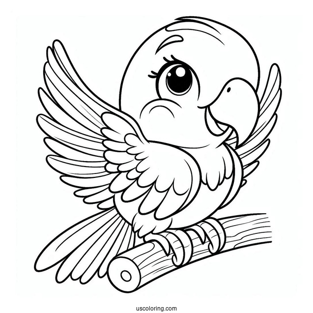 Smiling Parrot To Color