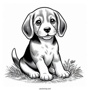 Beagle Puppy On Grass