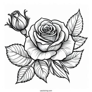 Simple Single Rose To Color