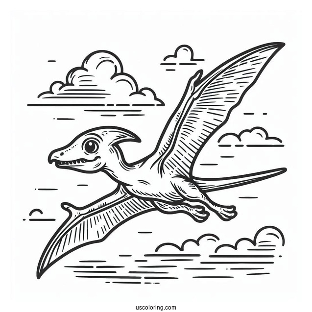 Small Pterodactyl Coloring Page Flying In The Sky