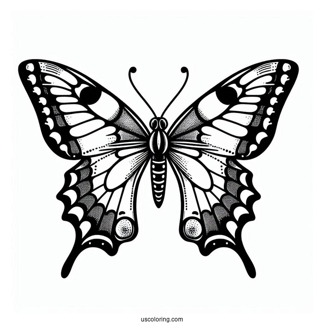 Simple Coloring Sheet Of Swallowtail Butterfly
