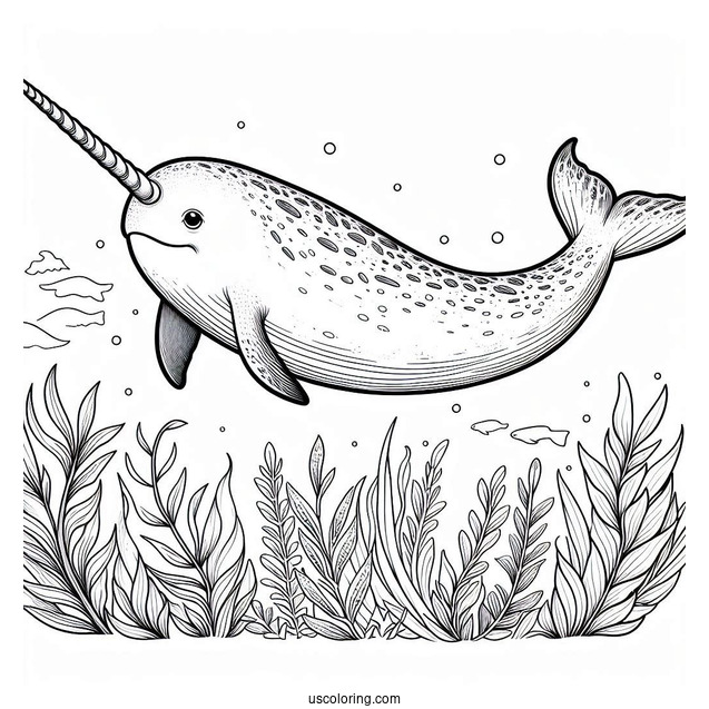 Realistic Narwhal Coloring Page With Long Tusk To Color