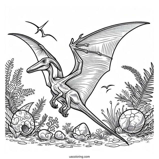Pterodactyl Coloring Page Fossil