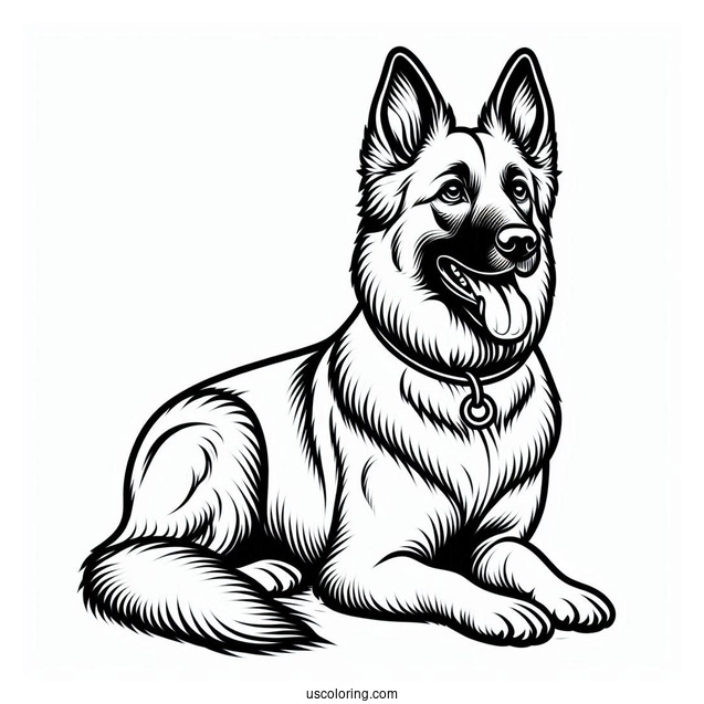 Outline Of Beglian Malinois Dog