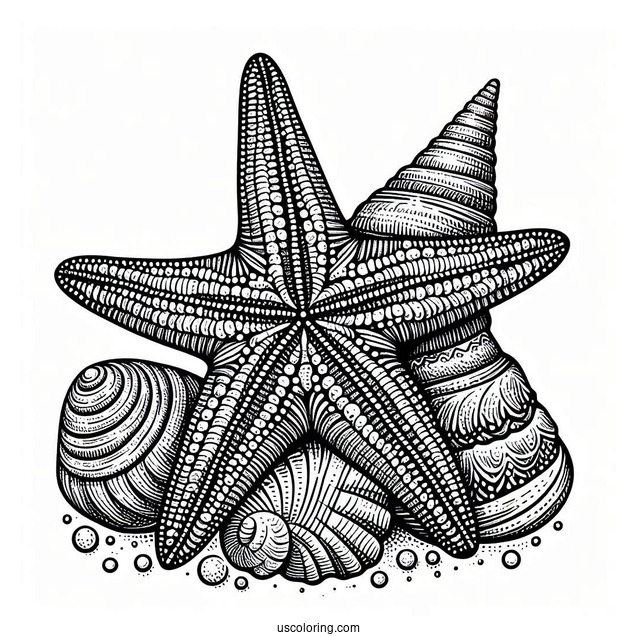 Textured Starfish Coloring Page With Seashells