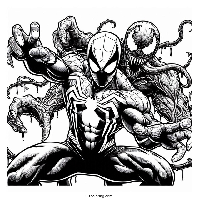 Detailed Spider-Man Vs Venom Marvel