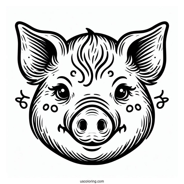 Easy Outline Of a Pigs Face