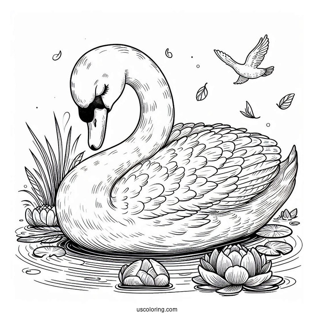 Detailed Swan Coloring Page Sleeping On Pond
