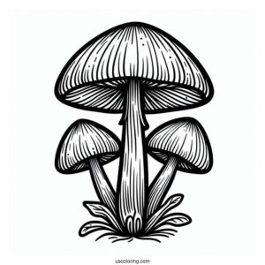 Bell Shaped Mushroom Coloring Page For Kids
