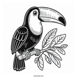 Toucan Parrot Coloring Sheet