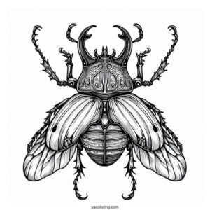Atlas Beetle Coloring Page Outline For Kids