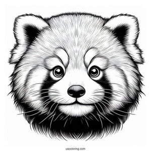 Realistic Red Panda Face Coloring Page