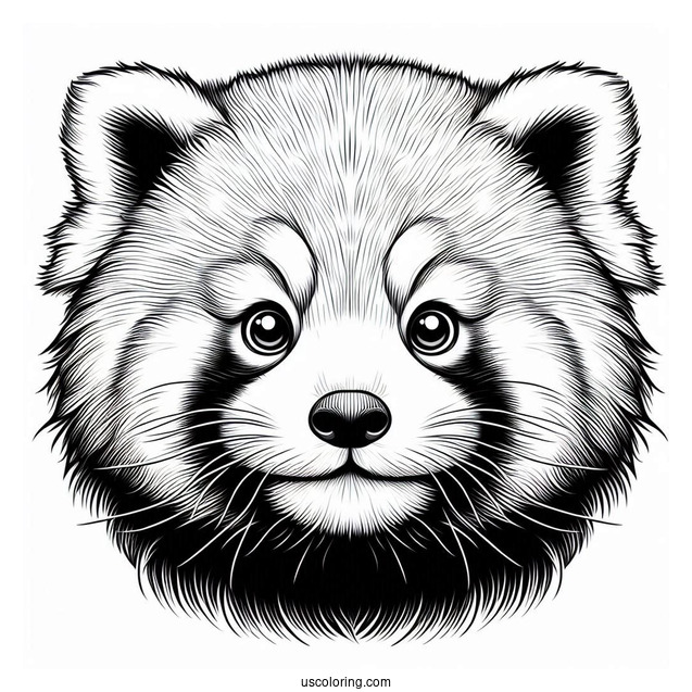 Realistic Red Panda Face Coloring Page