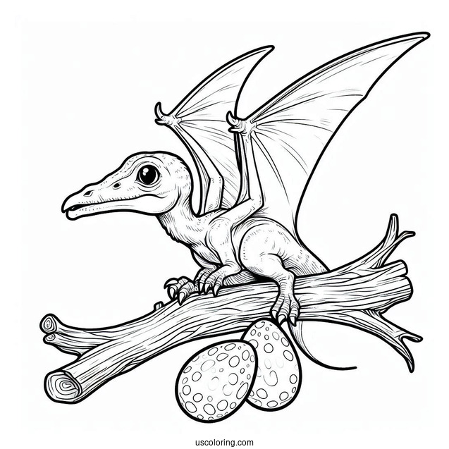 Pterodactyl Coloring Page Hatchling For Kids