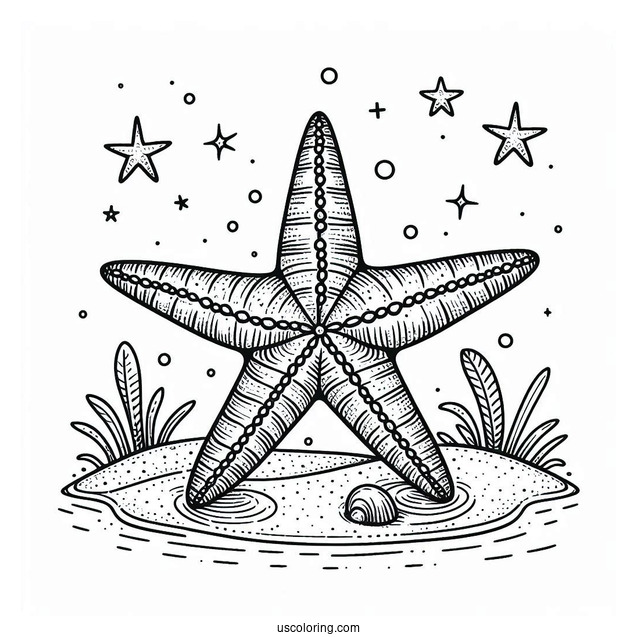Easy Starfish Coloring Page On The Sand for Kids