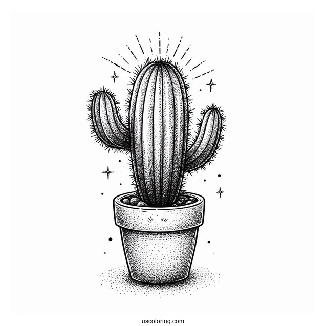 Baby Saguaro Cactus In South American Style Pot