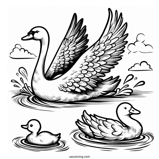 Swan Coloring Page Swimming Away From Ugly Duckling