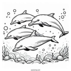 Pod Of Dolphins Underwater Coloring Page