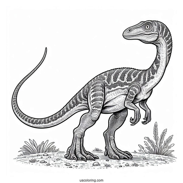 Compsognathus Dinosaur Coloring Sheet For Kids