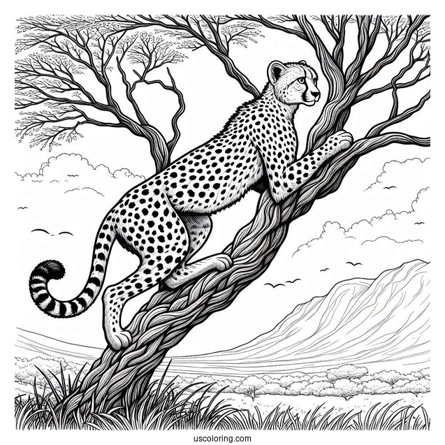 Detailed Cheetah Coloring Page Climbing Tree
