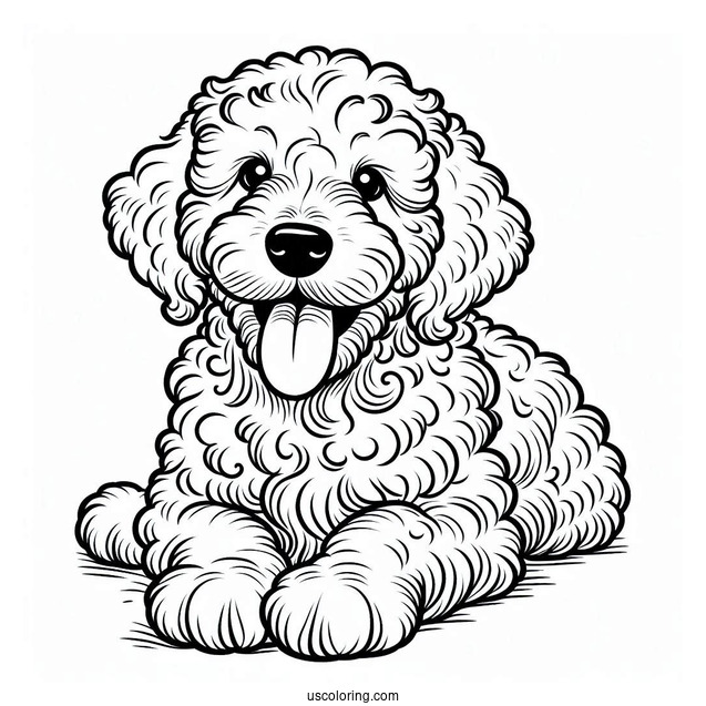 Labradoodle Puppy With Tongue Out Coloring Sheet