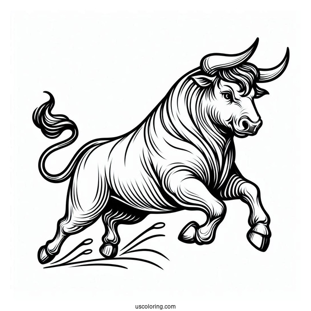 Outline Of Bull Running