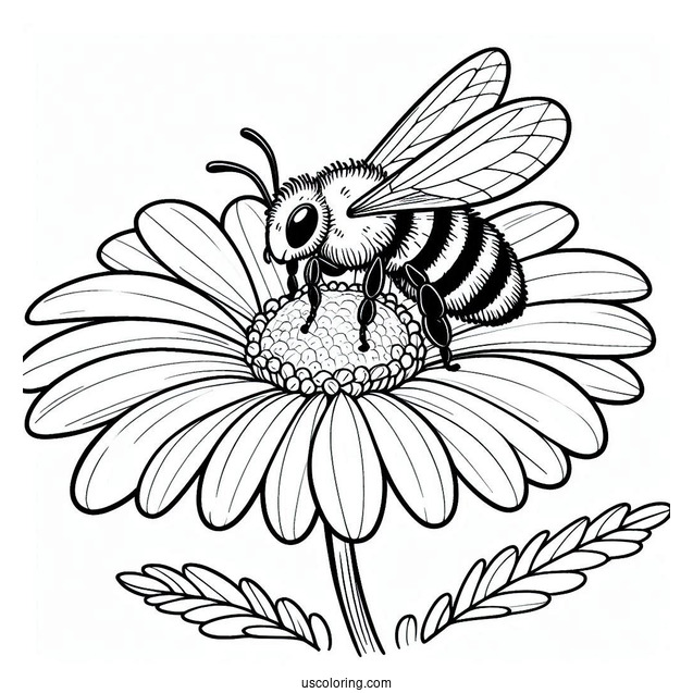 Large Bee Coloring Page On Top Of A Daisy