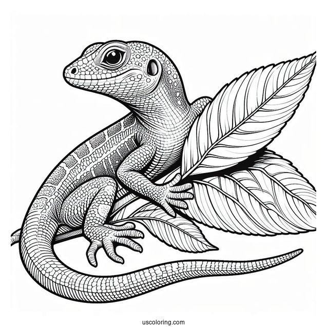 Lizard Coloring Page of Green Anole Lizard Camouflaging With Leaf