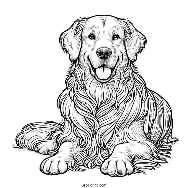 Adult Golden Retriever Coloring Page