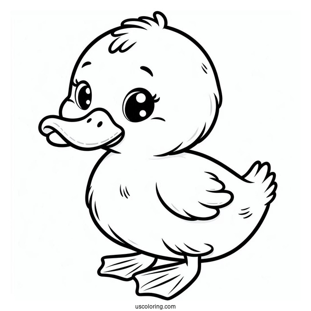 Cute Baby Duck To Color For Preschoolers