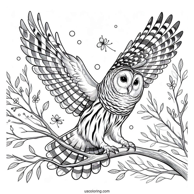 Barred Owl Swooping Down