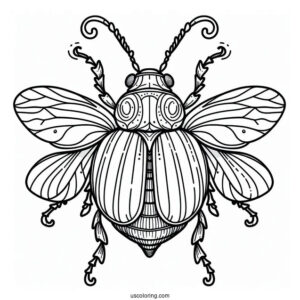 Cartoon Beetle Coloring Page Outline For Preschoolers