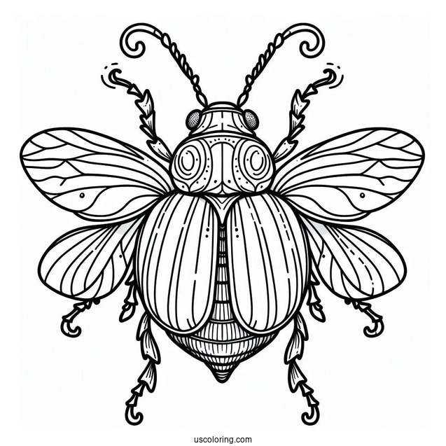 Cartoon Beetle Coloring Page Outline For Preschoolers
