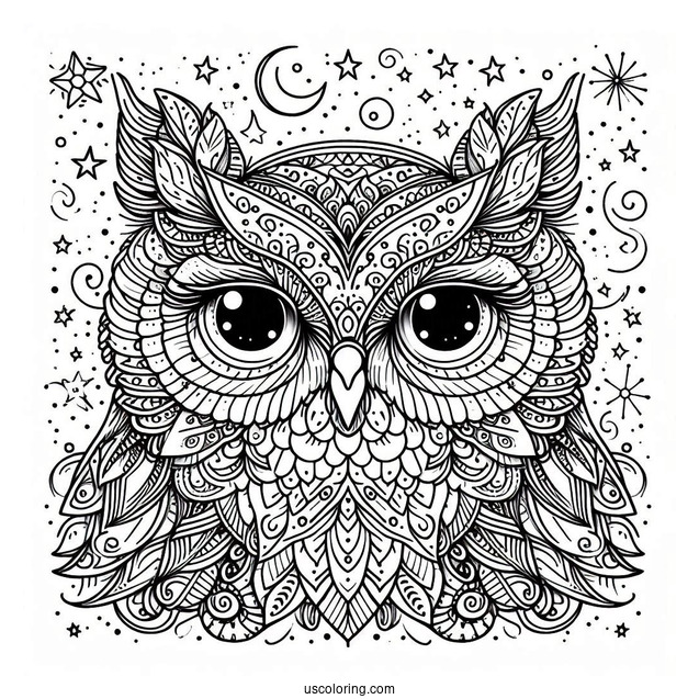 Owl With Intense Eyes Under Starlight