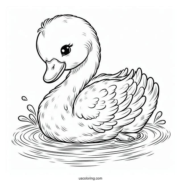 Baby Swan Coloring Page Emerging From Pond