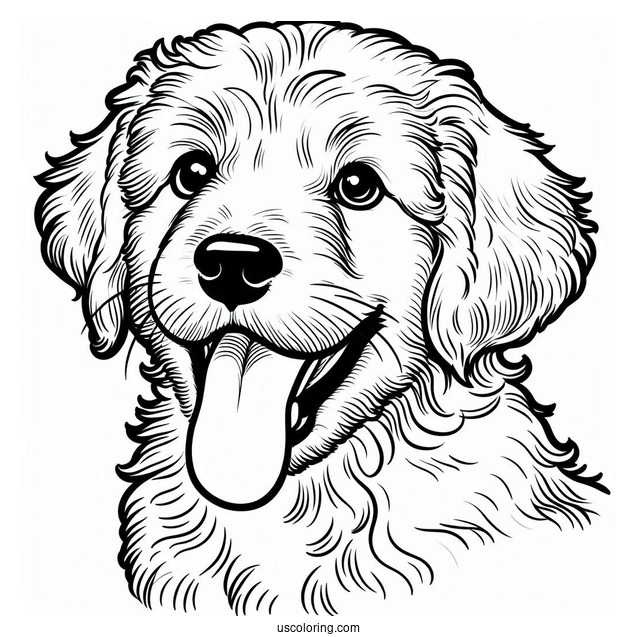 Labradoodle Puppy With Tongue Out Coloring Sheet