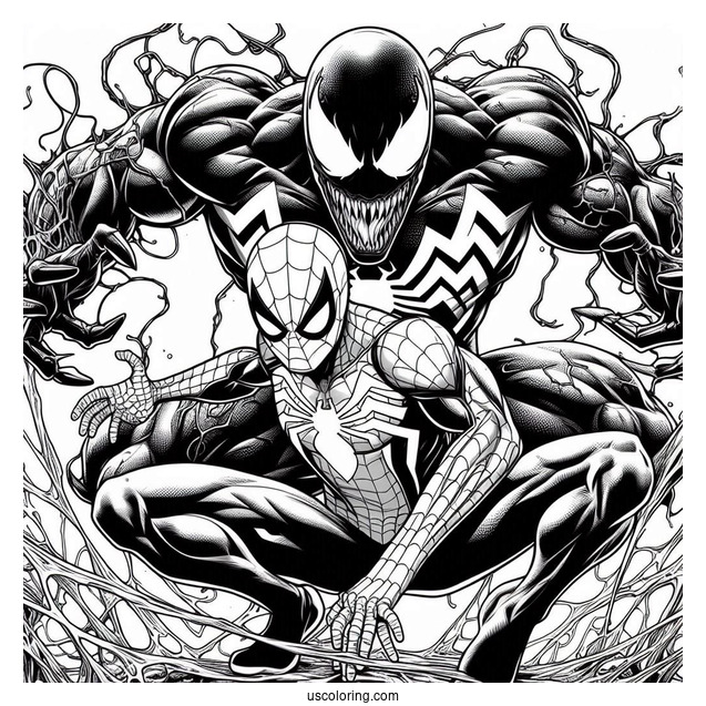 Detailed Spider-Man Vs Venom Marvel