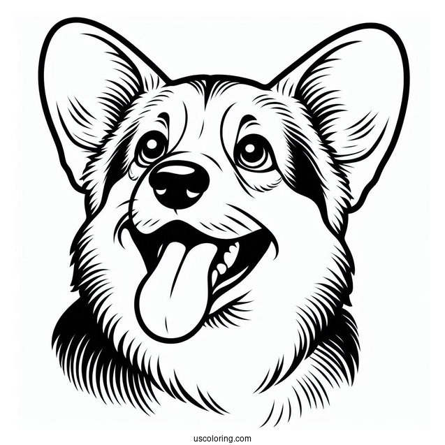 Easy Corgi Coloring Page With Tongue Out For Kids