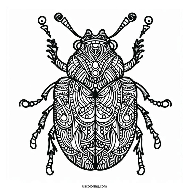 Intricate Beetle Coloring Page Mandala