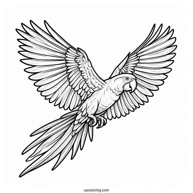 Flying Hyacinth Macaw Parrot