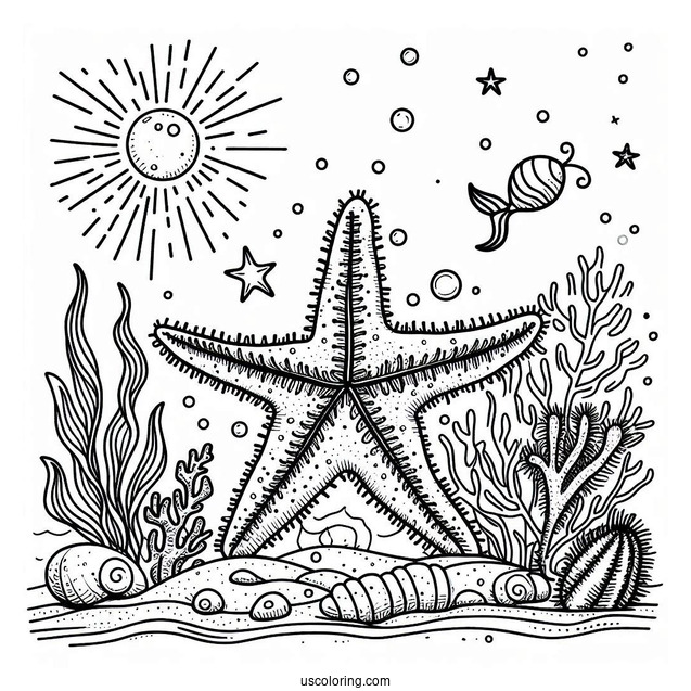 Simple Starfish Coloring Page On The Sea Floor With Sea Cucumber And Brittle Star