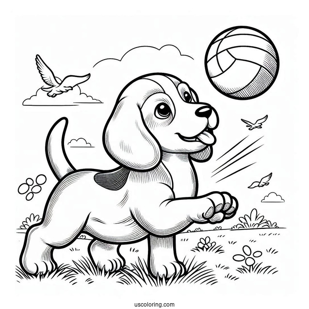 Beagle Chasing Ball To Color