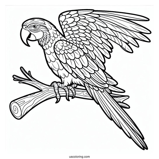 Macaw Parrot Coloring Sheet