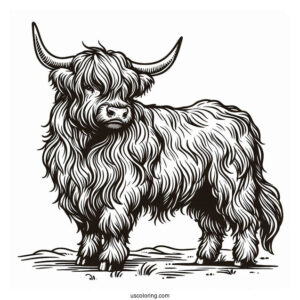 Shaggy Highland Bull Coloring Sheet